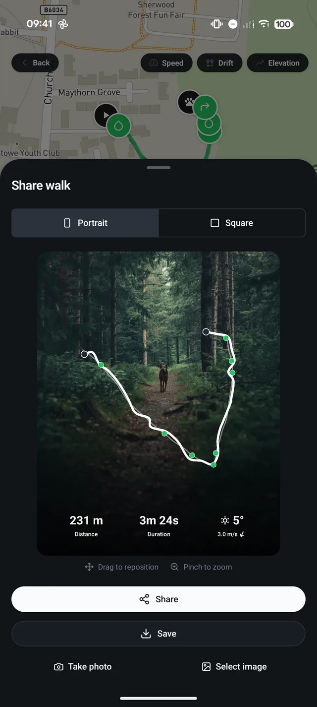 A walk turned into a shareable image over a forest photo